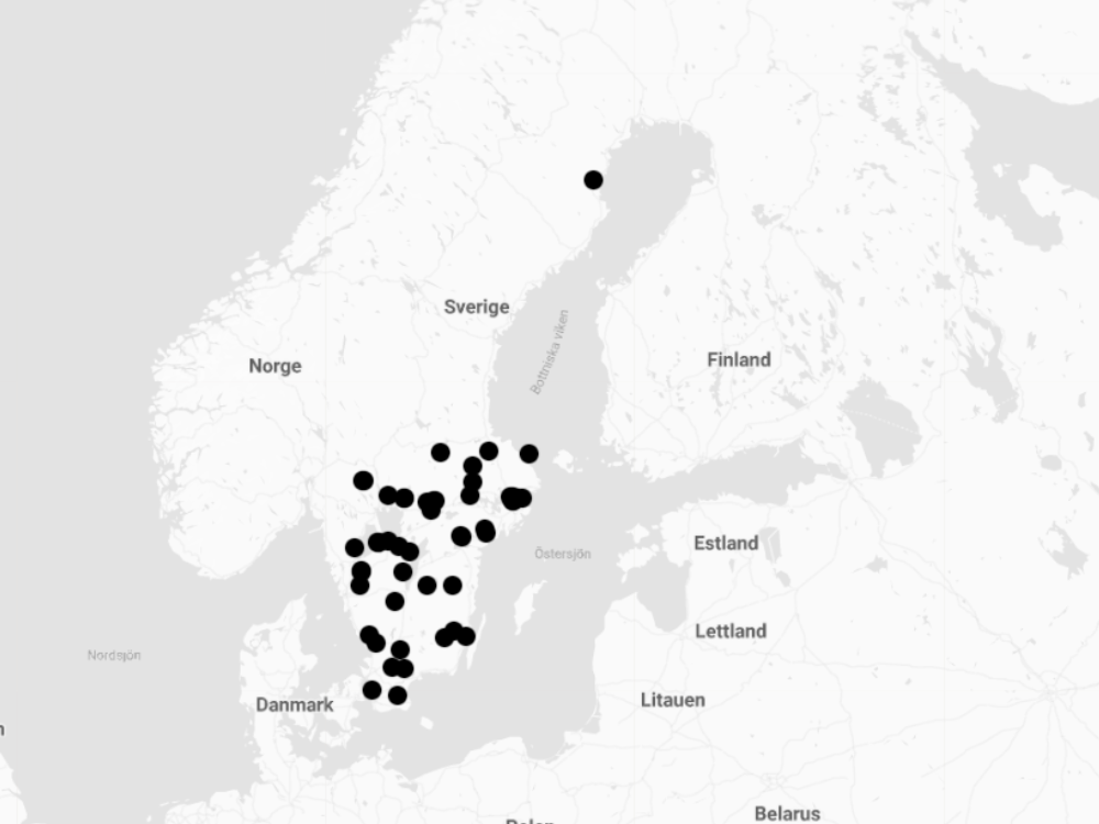 Gör din beställning